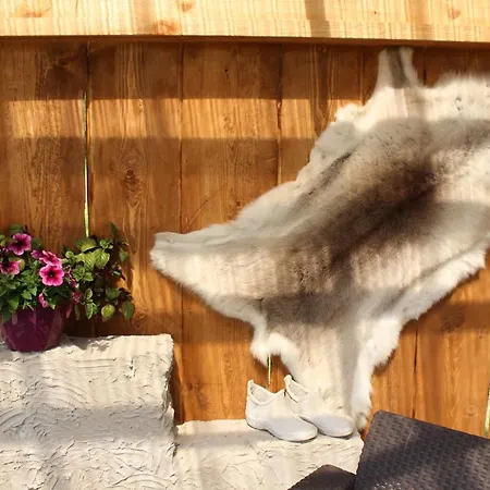 Kargaja Kuke Saun & Kaemping * Padakorve