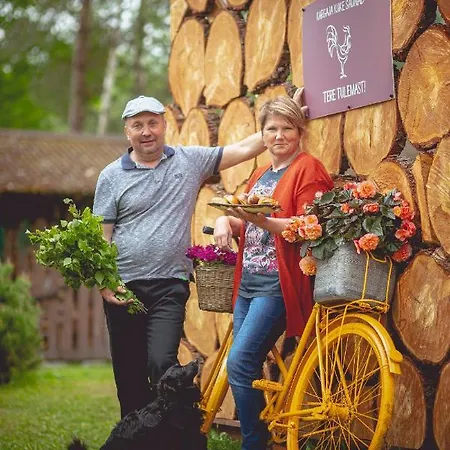 Kargaja Kuke Saun & Kaemping * Padakorve