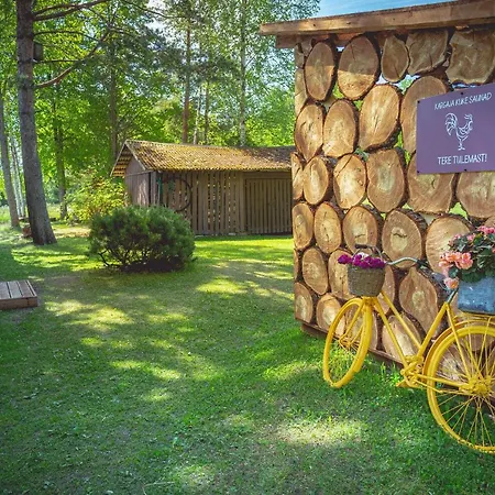 Kargaja Kuke Saun & Kaemping Campingplatz