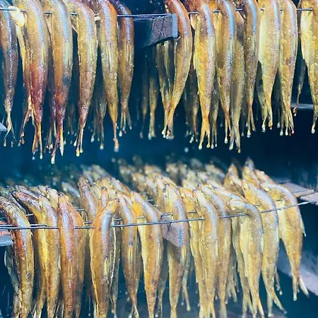 Kargaja Kuke Saun & Kaemping Laagriplats *