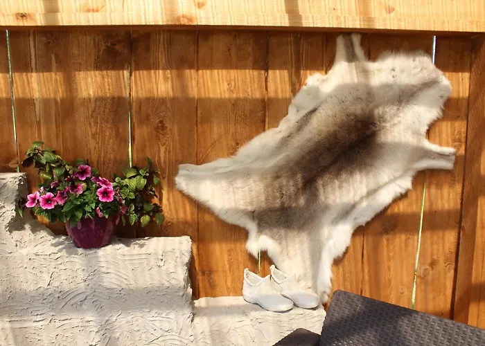 Kargaja Kuke Saun & Kaemping * Padakorve