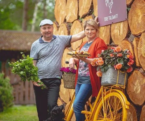 Kargaja Kuke Saun & Kaemping * Padakorve