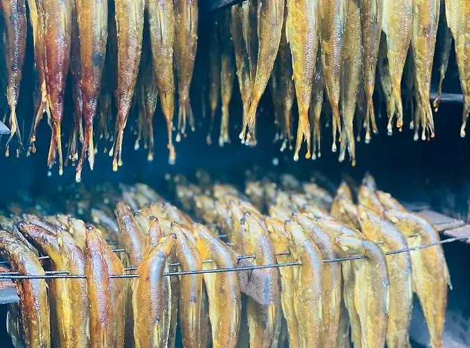 Kargaja Kuke Saun & Kaemping Campsite *